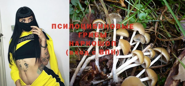 марки lsd Абинск