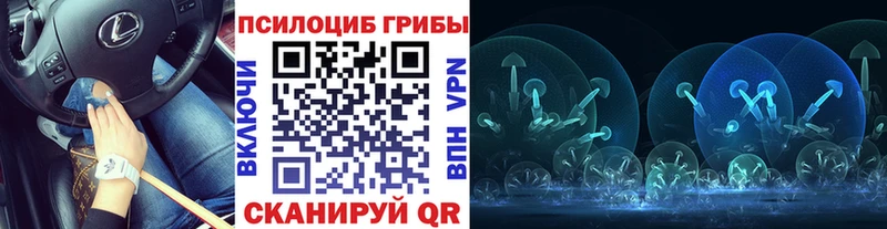 МЕГА ССЫЛКА  Кириллов  Псилоцибиновые грибы Magic Shrooms 