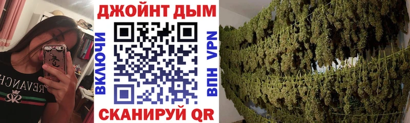 Бошки Шишки ГИДРОПОН  Кириллов 